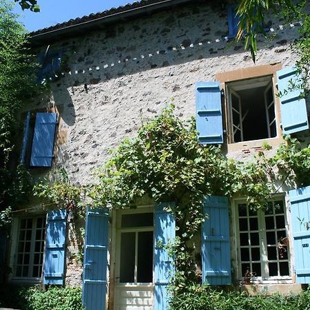 Le Petit Mas D'Ile Bed and Breakfast Saint-Germain-de-Confolens Zewnętrze zdjęcie